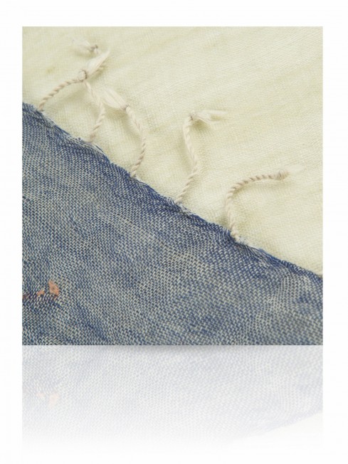 Палантин Женский ZW.EMB/TAU.BLUE